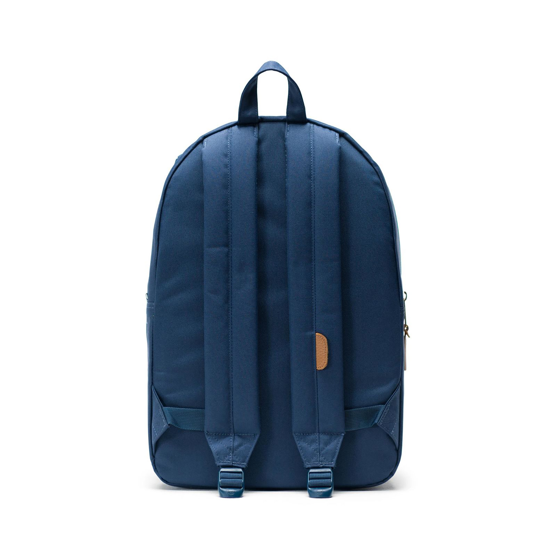 blue-back-view